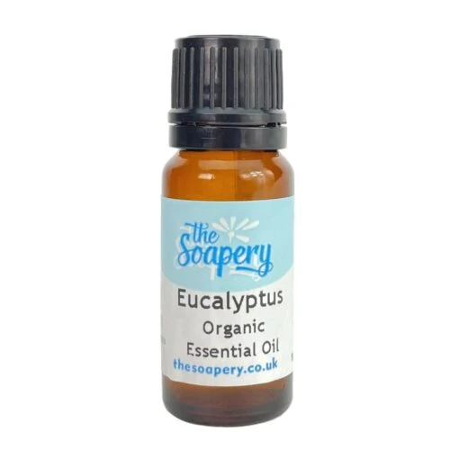Eucalyptus Essential Oil - Organic -Soap Making Hub EUCORG10 clipped rev 1 299394