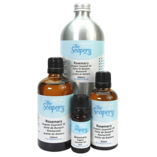 Rosemary Essential Oil - Organic