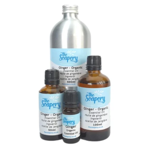 Ginger Essential Oil – Organic
